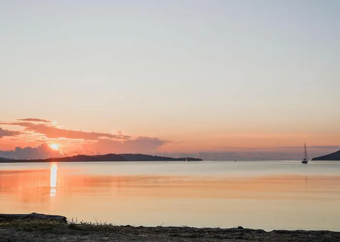 De La بورتو فيكشْيو