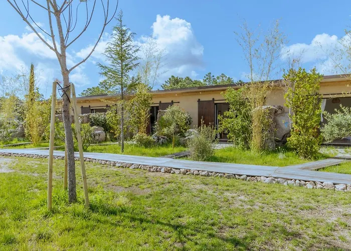 De La بورتو فيكشْيو